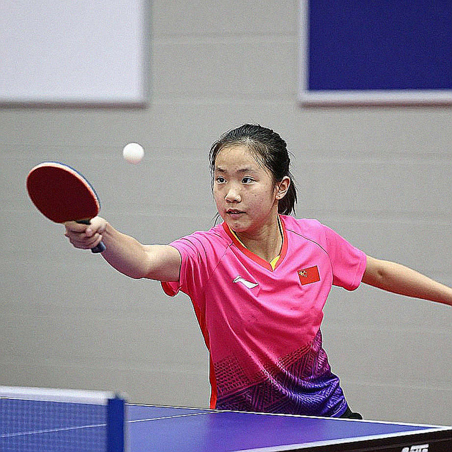 Chinese Table Tennis Experts in Skopje: Exporting a Whole System Chinese Table Tennis Experts in Skopje: Exporting a Whole System